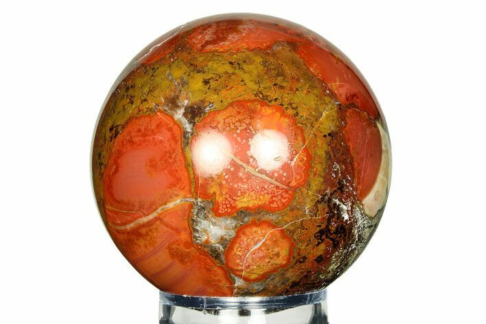 Polished King Cobra Jasper Sphere - India #311569